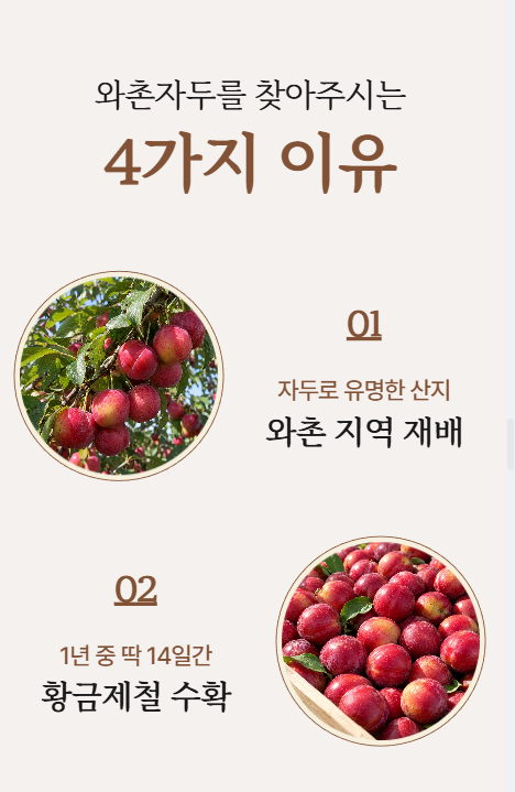 국내산 와촌 햇자두 새콤달콤 중대과 대과 달달한