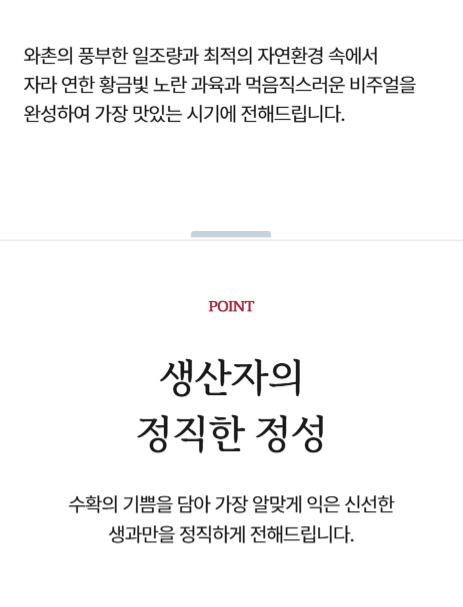 국내산 와촌 햇자두 새콤달콤 중대과 대과 추희자두