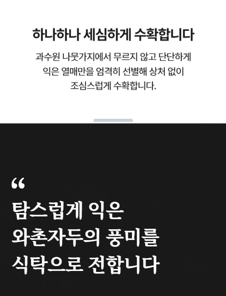 국내산 와촌 햇자두 새콤달콤 중대과 대과 비타민함유