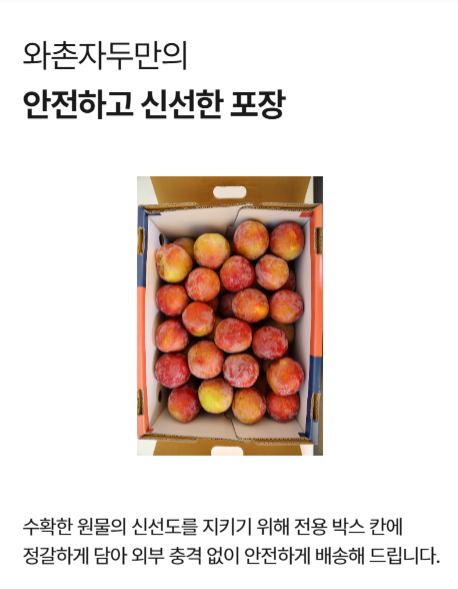 국내산 와촌 햇자두 새콤달콤 중대과 대과 디저트볼
