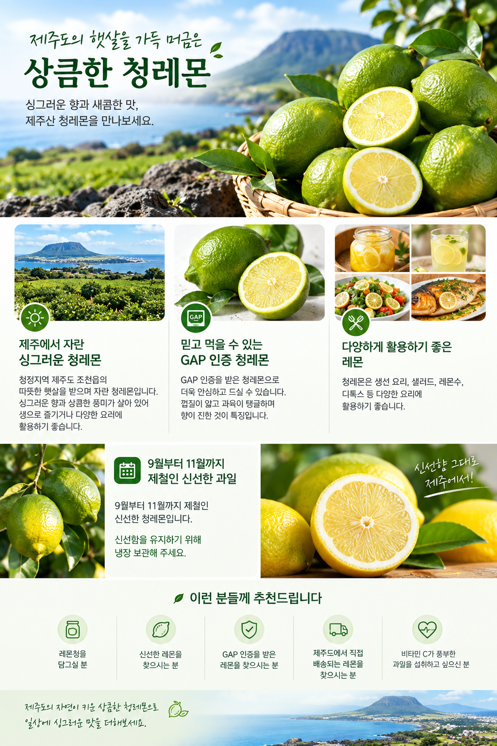 제주산 GAP인증 청레몬 2kg 제주산 GAP인증 청레몬 2kg