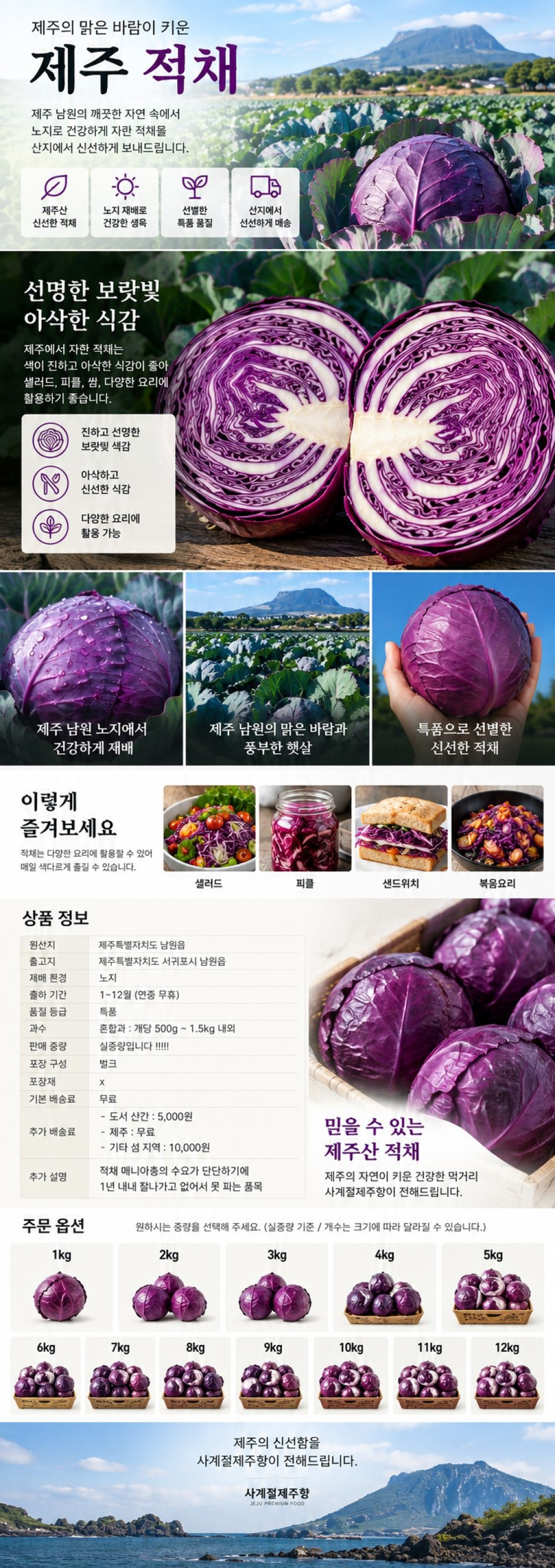 제주 적채 적양배추 샐러드용 야채 제주 적채 적양배추 샐러드용 야채