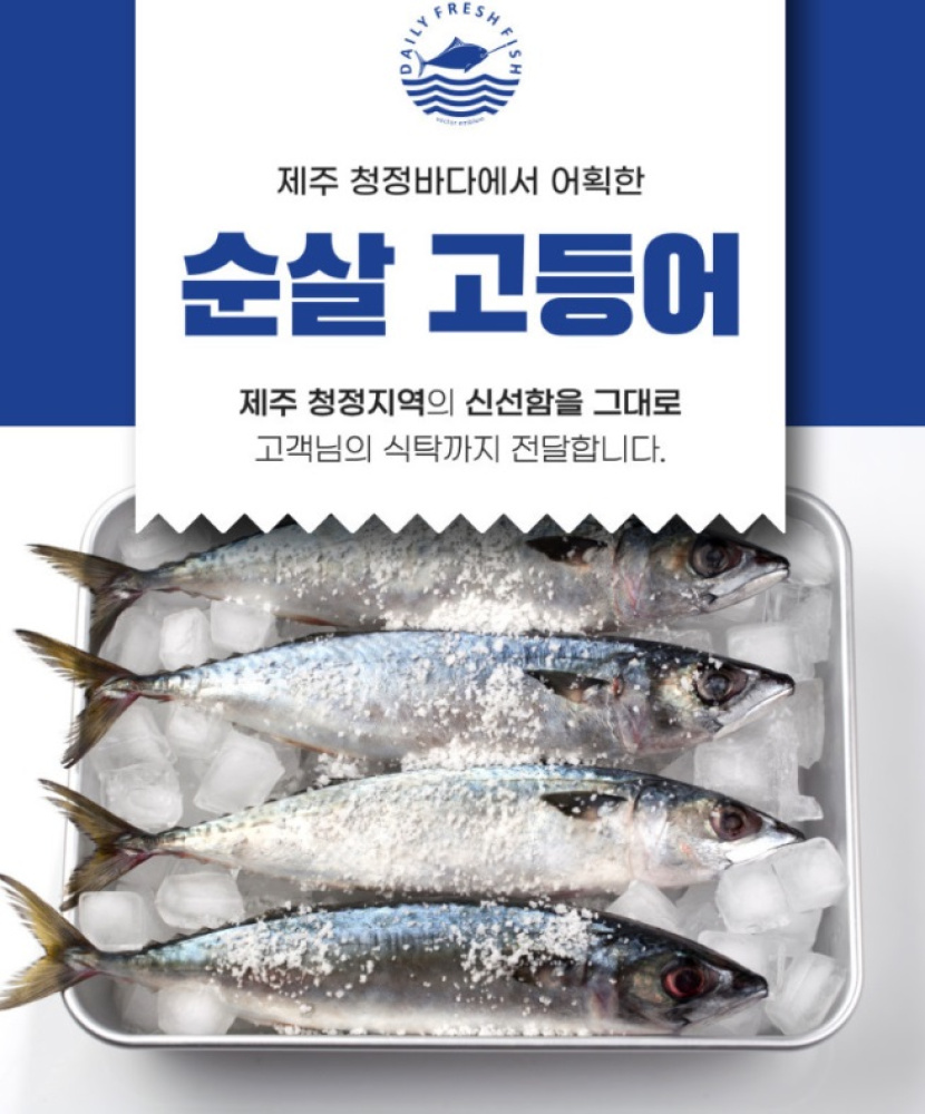 푸르디 제주산 손질 고등어 푸르디 제주산 손질 고등어