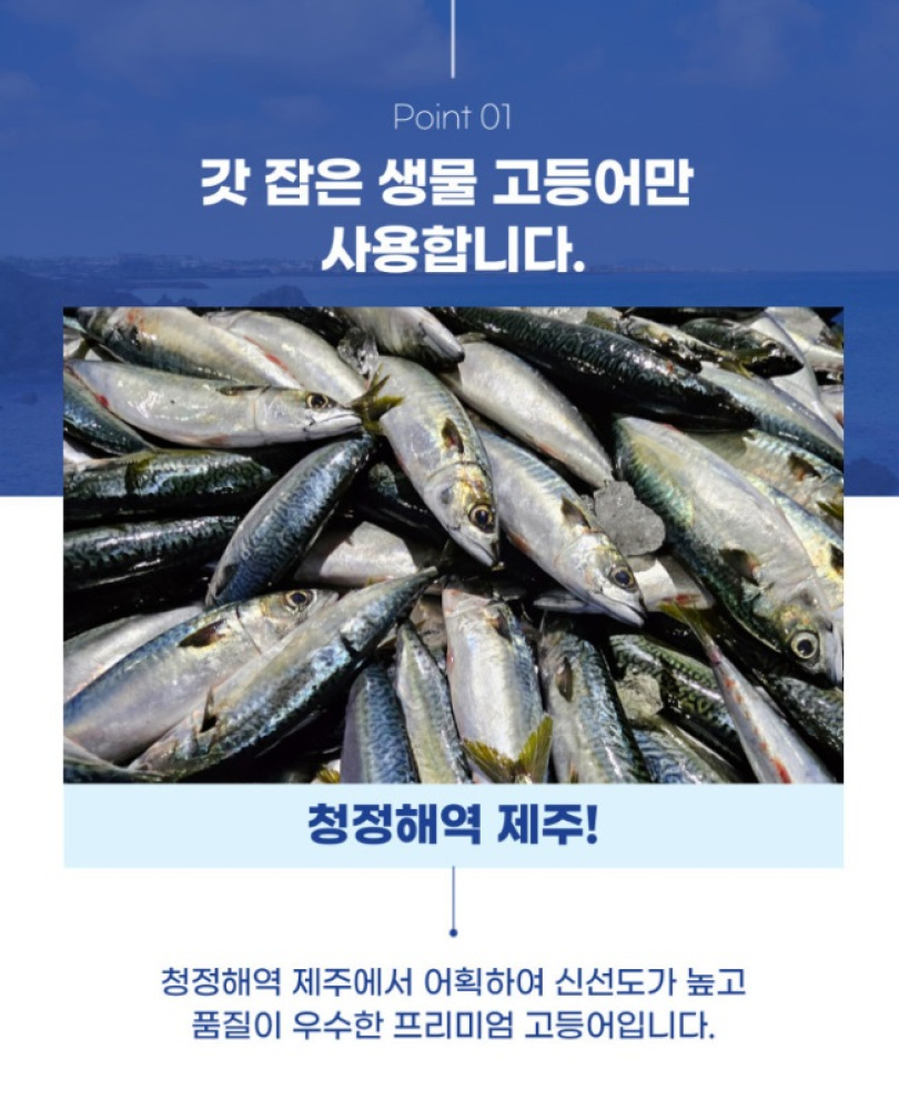 푸르디 제주산 손질 고등어 푸르디 제주산 손질 고등어