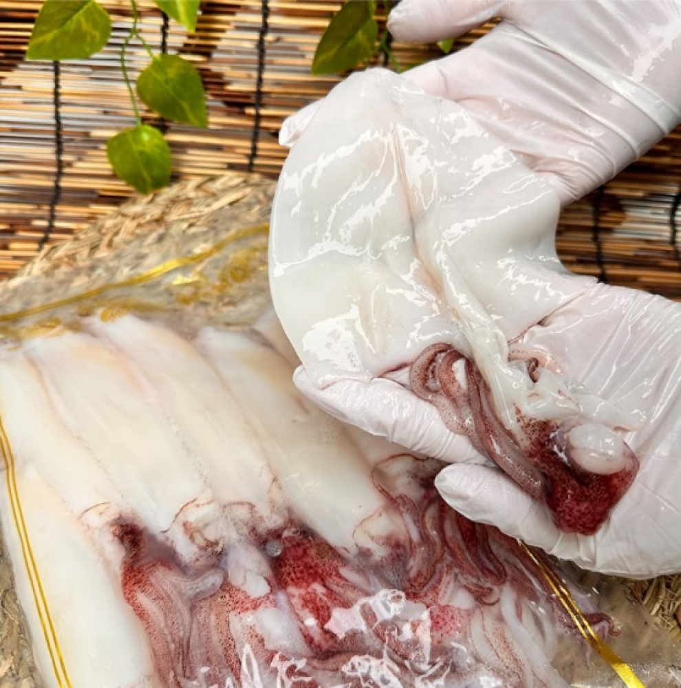 푸르디 제주 손질 한치 1kg