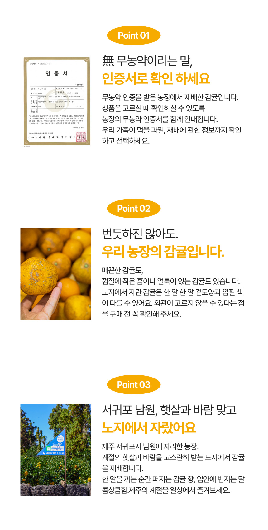 나종실농장 친환경 노지 감귤 5kg, 10kg 무농약 인증 노지귤