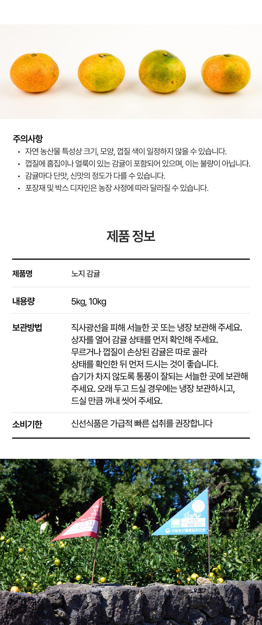 나종실농장 친환경 노지 감귤 5kg, 10kg 무농약 인증 제주특산물