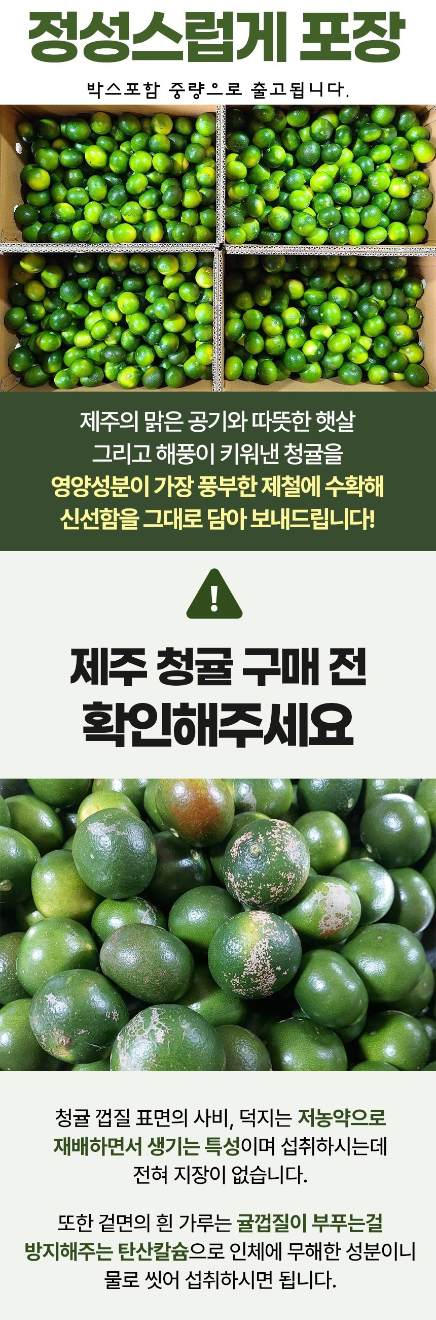 [서귀포] 친환경 특품 청귤 5kg 10kg 청귤청 제주청귤산지직송