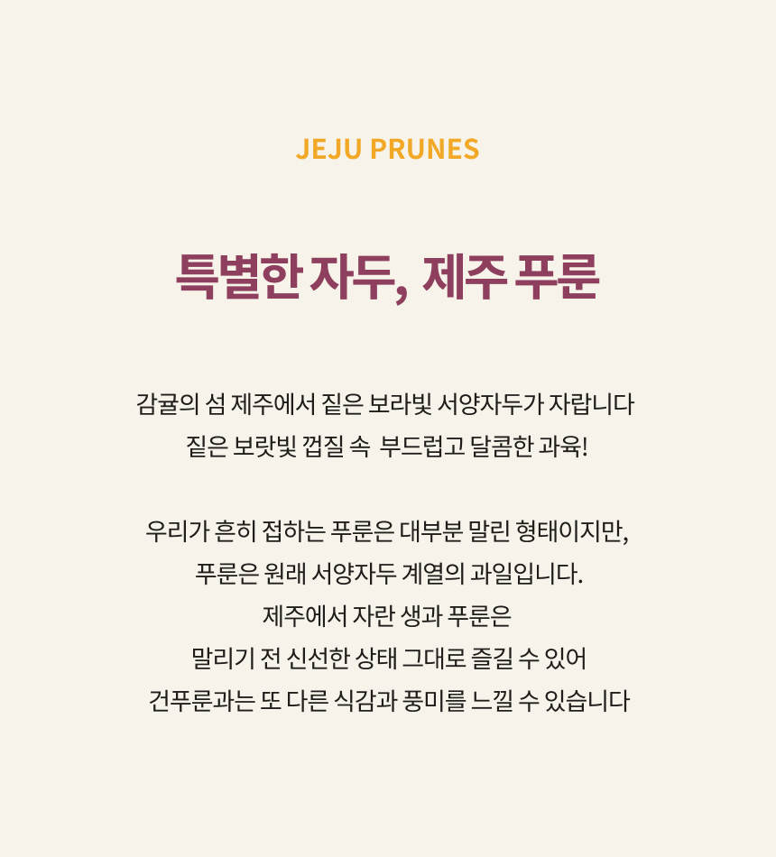 홍베리 제주에서 나는 생 푸룬 자두 생과 농장직송 1kg GAP 인증 푸룬