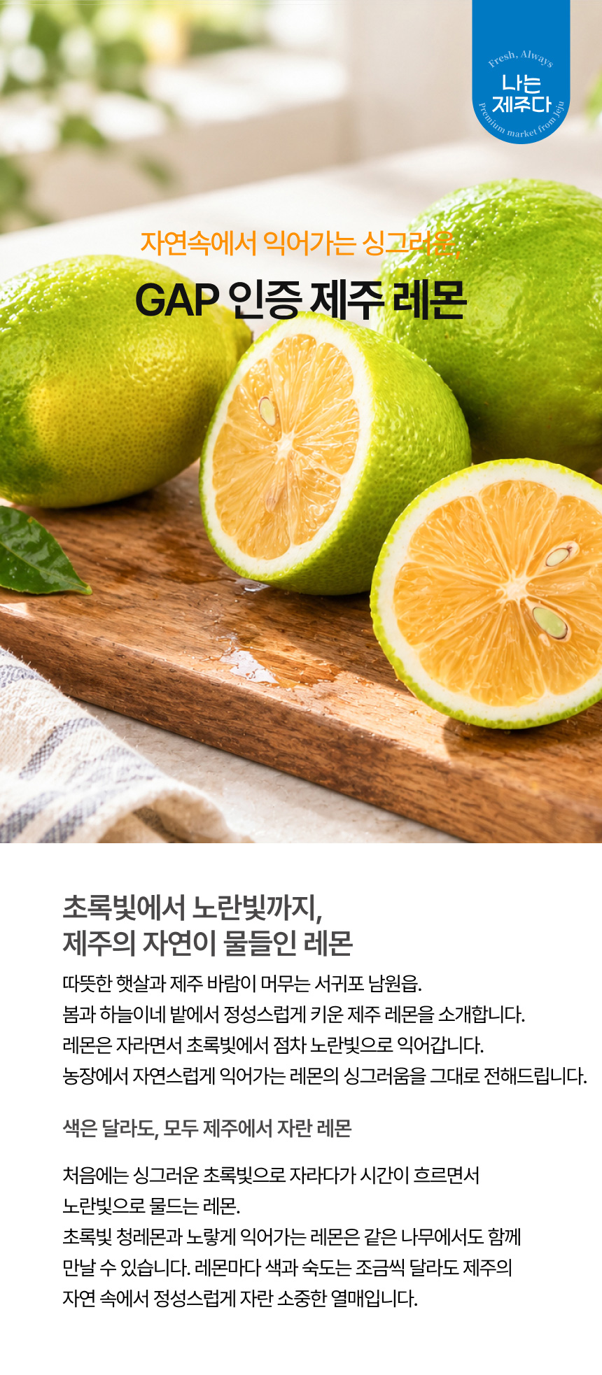 봄과 하늘이네 밭 제주 레몬 3kg 5kg 산지 농장 직송 청레몬 노란레 제주 서귀포 남원읍 농장에서 정성껏 재배한 싱그러운 제주 청레몬. 레몬청