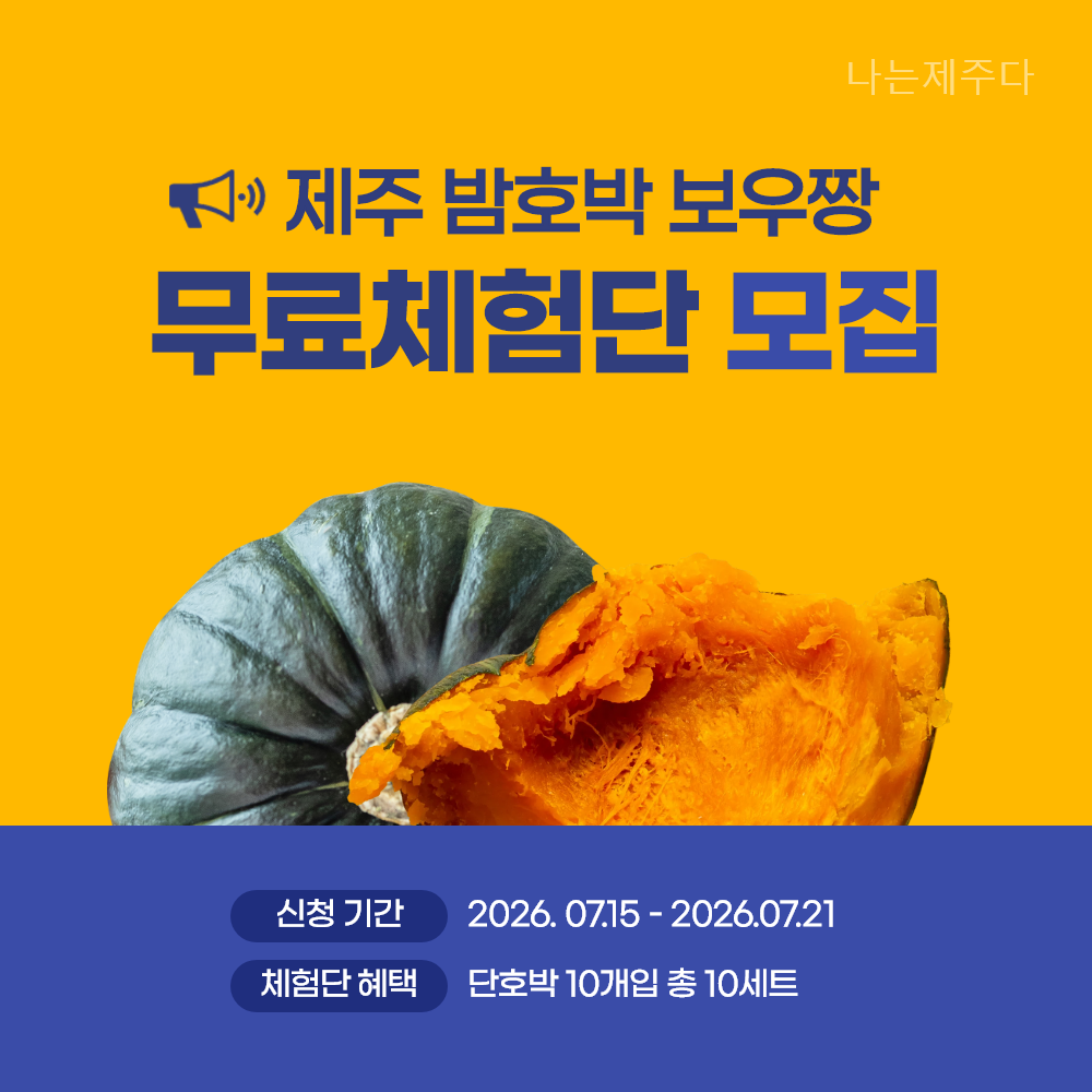 제주 포슬포슬 알찬 미니밤호박 단호박 보우짱 영양만점