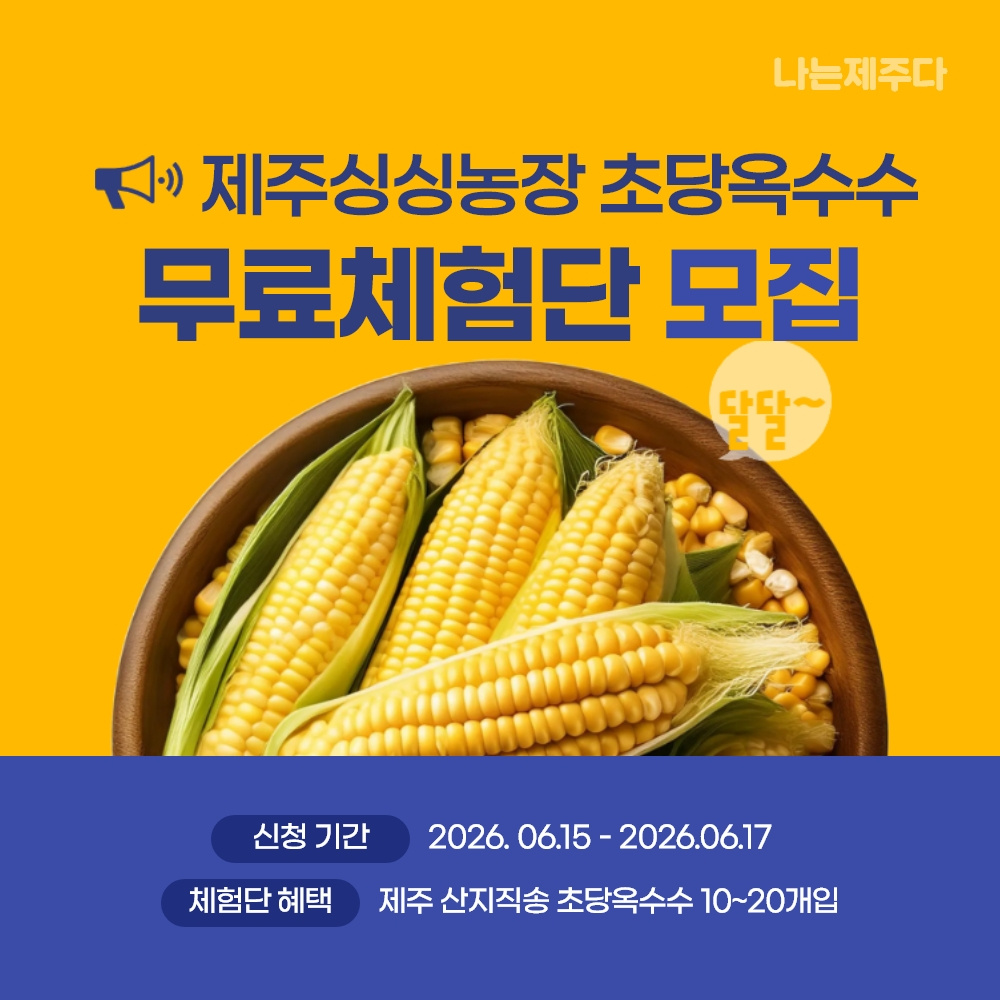 [무료체험] 제주 산지직송 초당옥수수