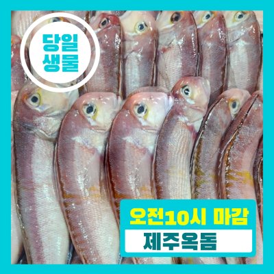 [당일생물 ] 제주 옥돔 당일바리 당일발송 내일도착 2kg부터 판매