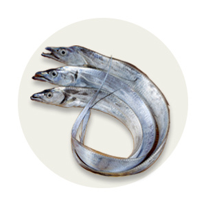 수산/건어물