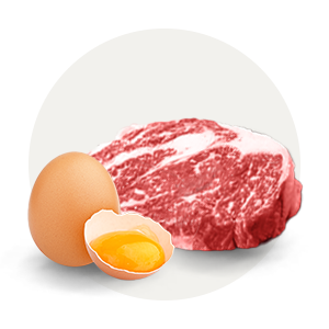 축산물/계란