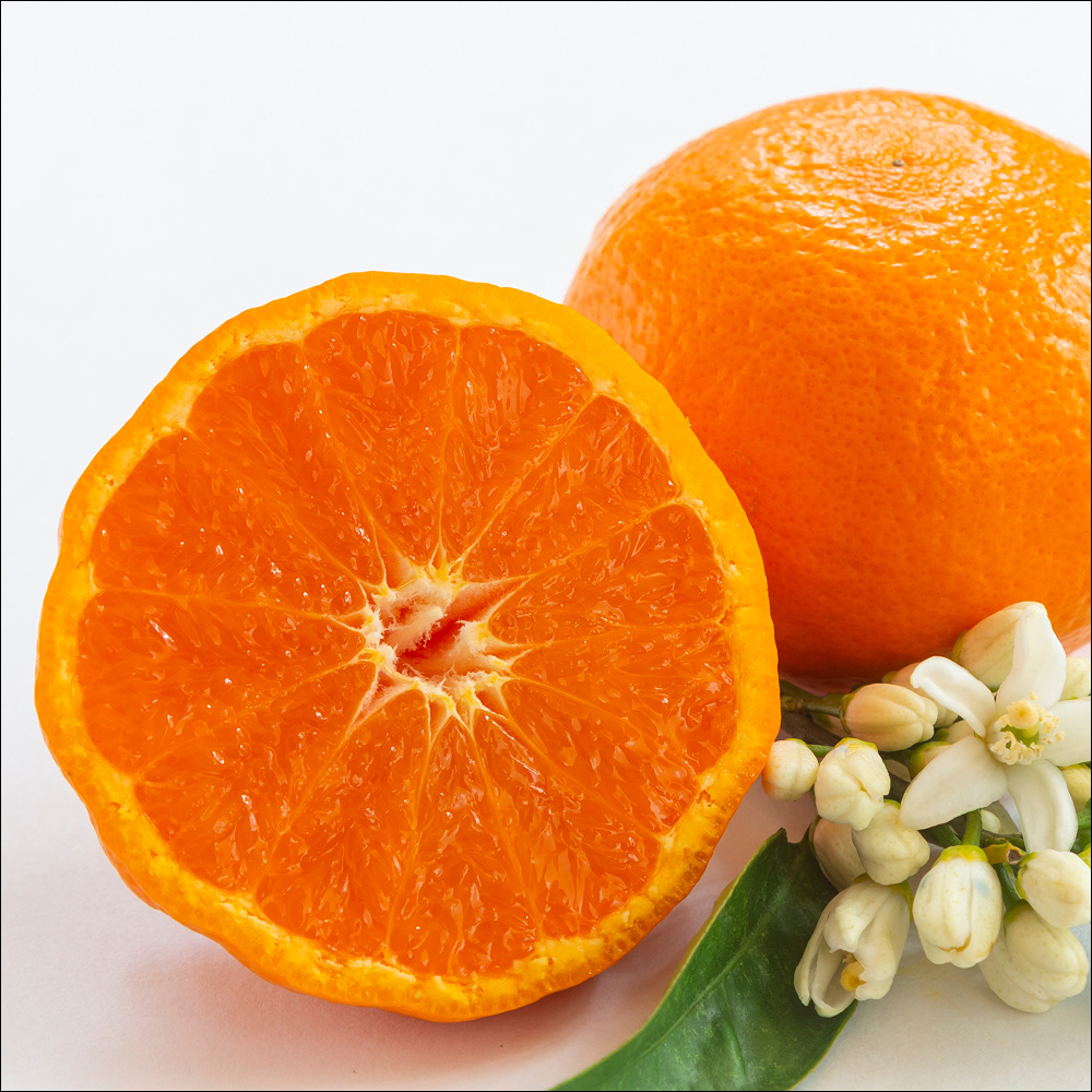 제주 카라향 가정용 혼합과 실중량 1.5kg 2.5kg 4.5kg 9kg