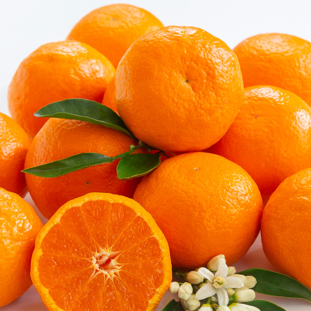 제주 카라향 가정용 혼합과 실중량 1.5kg 2.5kg 4.5kg 9kg