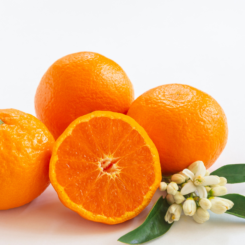 제주 카라향 가정용 혼합과 실중량 1.5kg 2.5kg 4.5kg 9kg