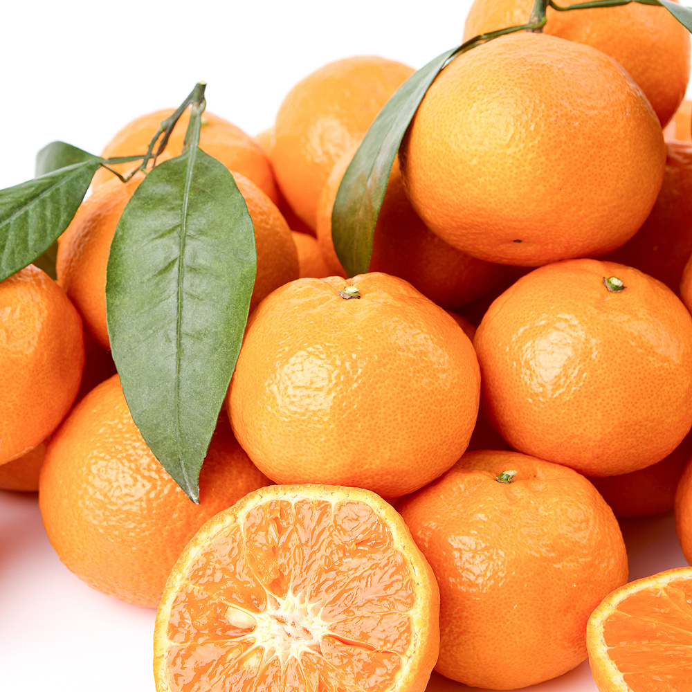 제주 카라향 가정용 혼합과 실중량 1.5kg 2.5kg 4.5kg 9kg