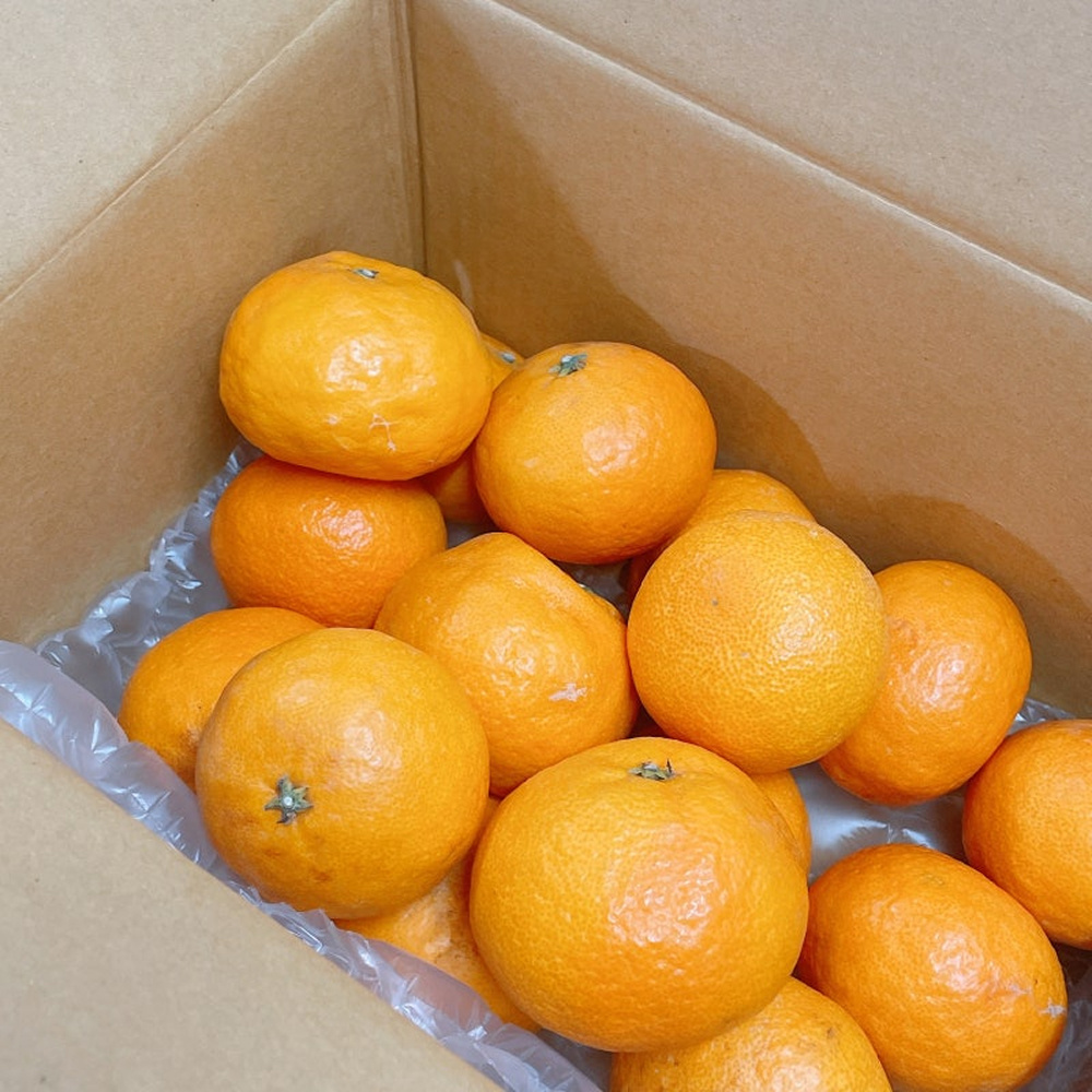 [한섬누리]제철과일 제주 카라향 2kg 4.5kg 달콤 감귤