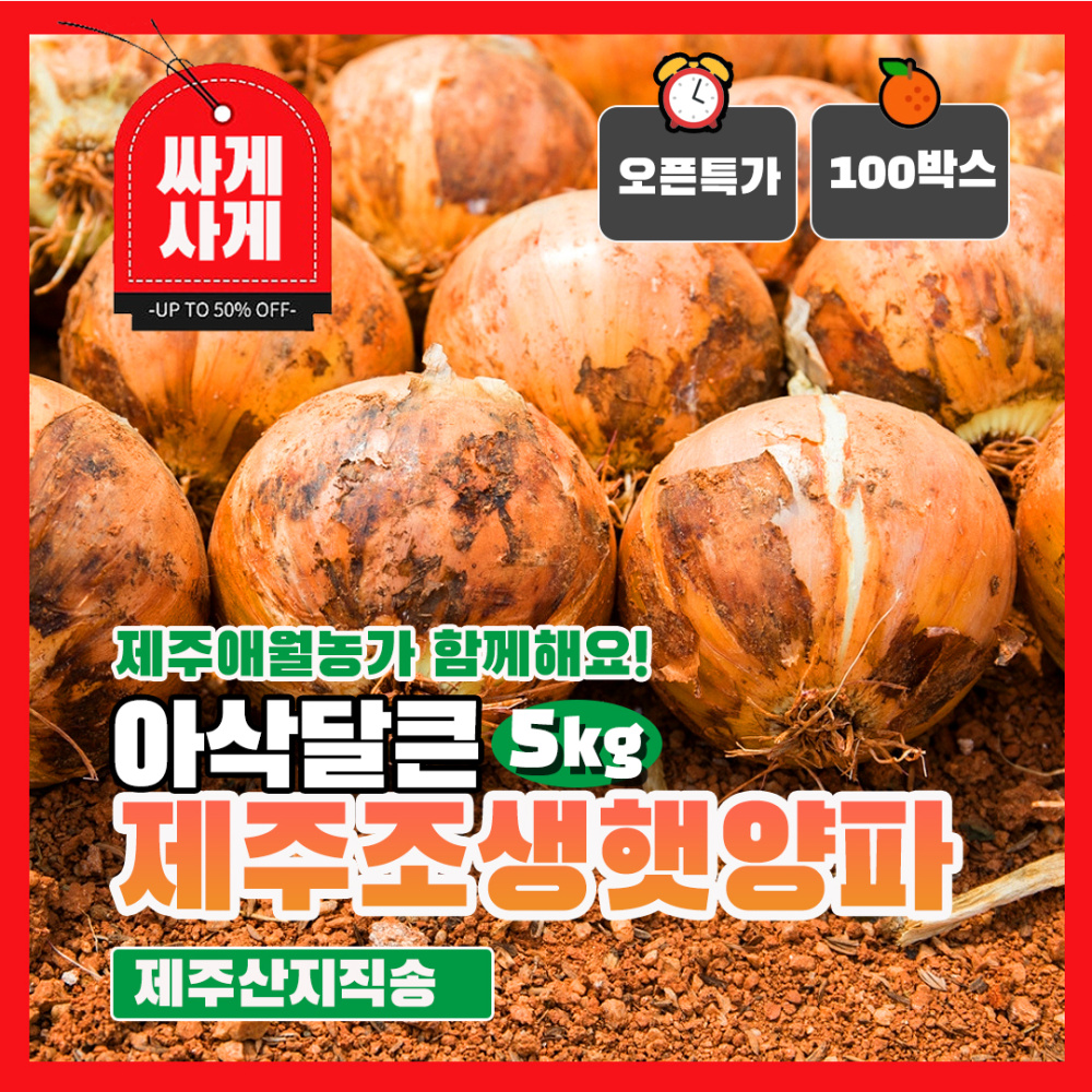 애월농가 요리용 제주 햇 양파 5kg 아삭 달큰 채소