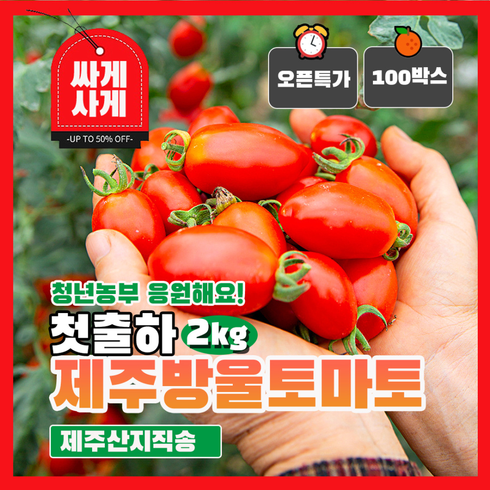 청년농부 김기범농가 첫출하 제주 방울토마토 2kg 신선 과일