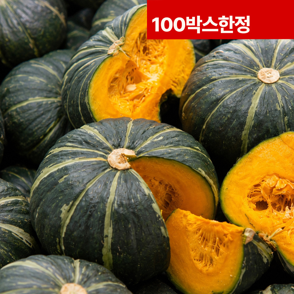 100박스한정! 애월 청년농부 김기범농장 알찬 미니밤호박 5kg 3kg 단호박 영양만점