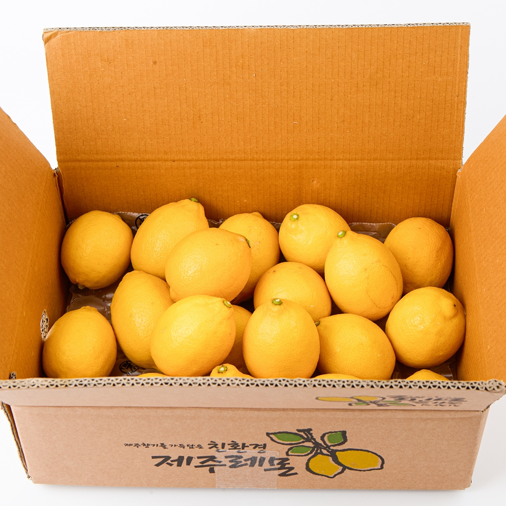 [레몬꽃향기] 제주 레몬 3kg 5kg 산지직송