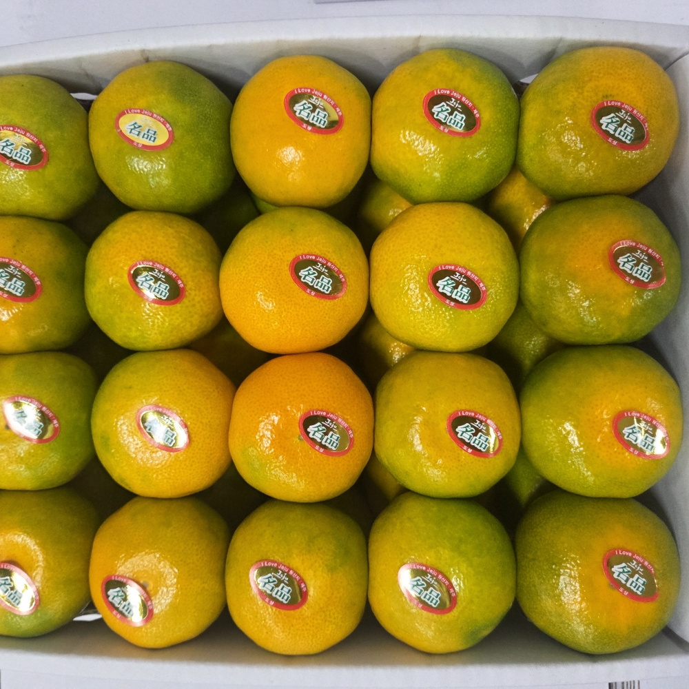 [한섬누리]제주 고당도 하우스 감귤 3kg 5kg 10kg 가정용 선물용