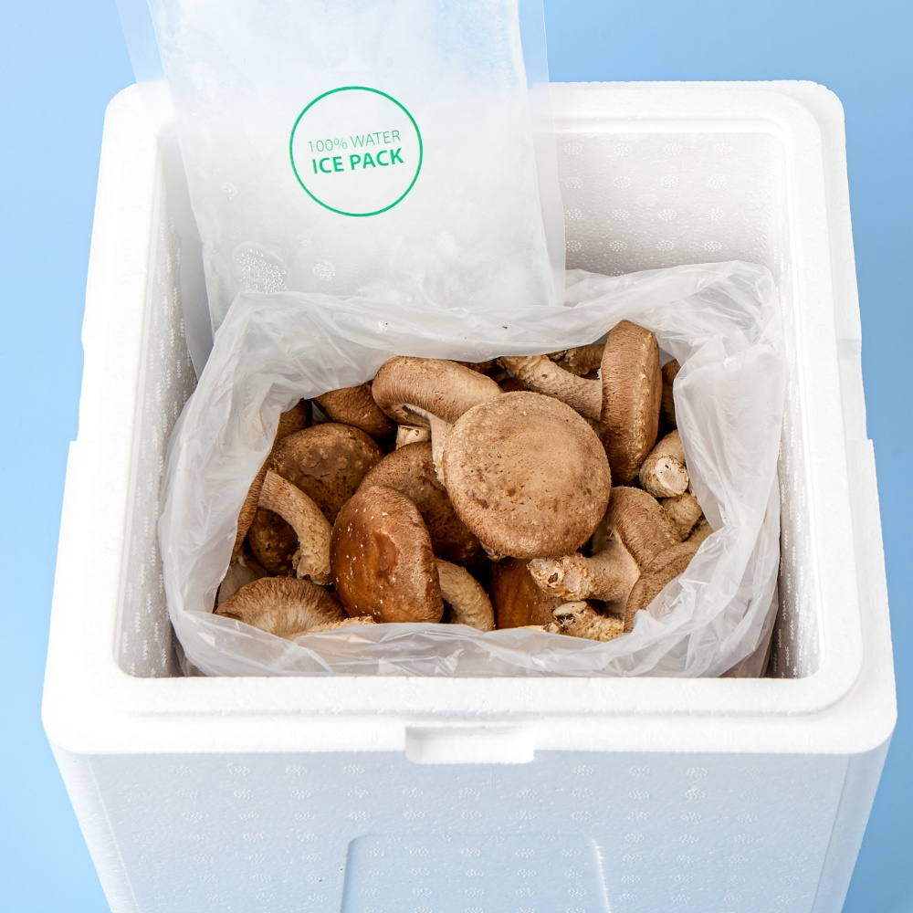 [한수풀버섯농장] 향긋한 제주 생 표고버섯 1kg
