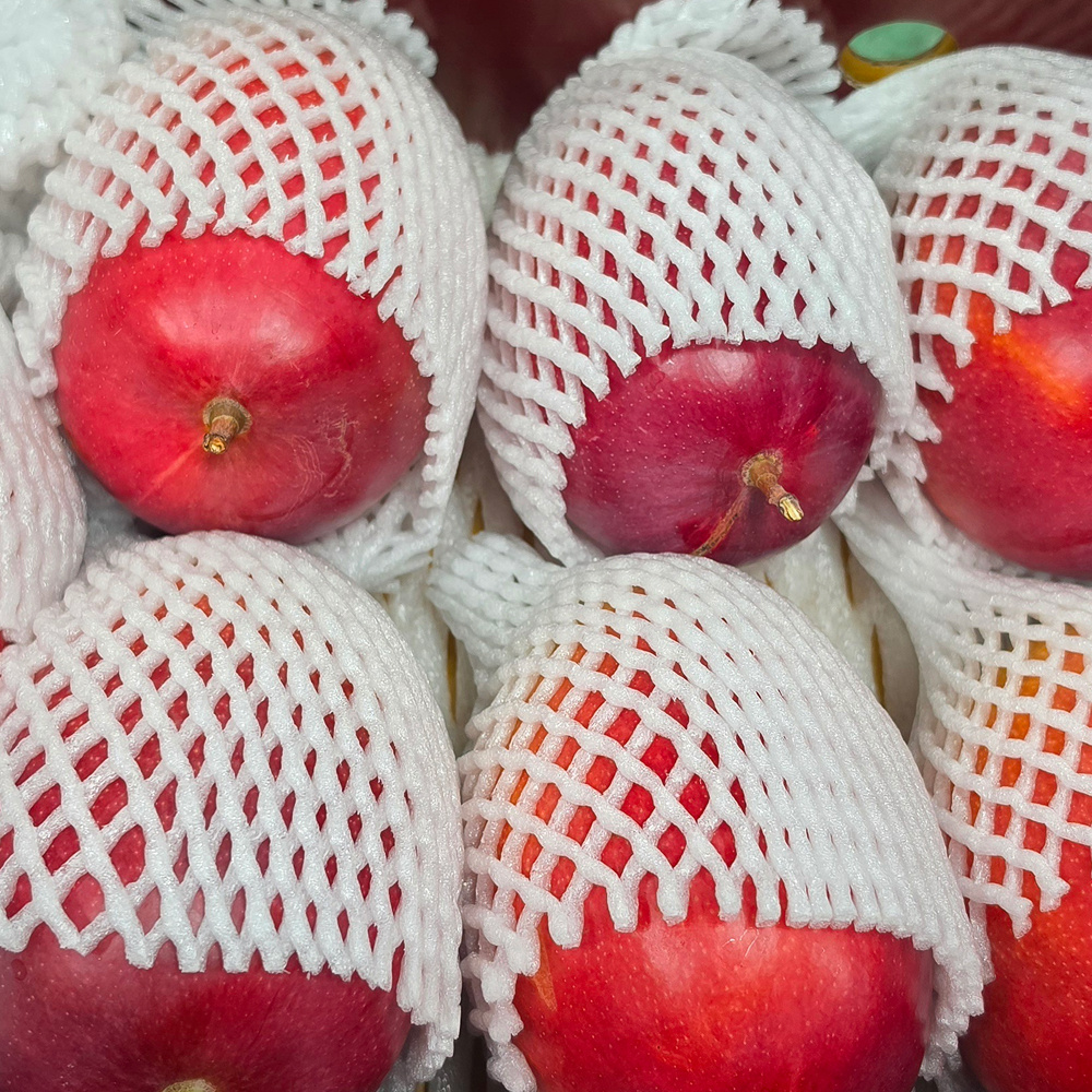 제주 왕애플망고 왕망고 애플망고 산지직송 프리미엄 3kg 명절선물