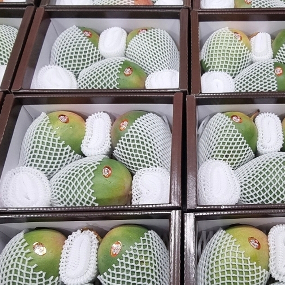 제주 왕애플망고 왕망고 애플망고 산지직송 프리미엄 3kg 명절선물