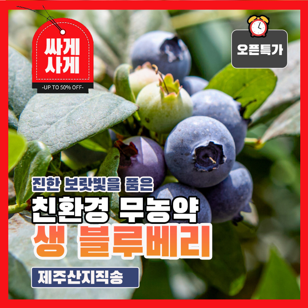 [홍베리] 5월 제철 친환경 무농약 보라빛 블루베리 1kg 소과
