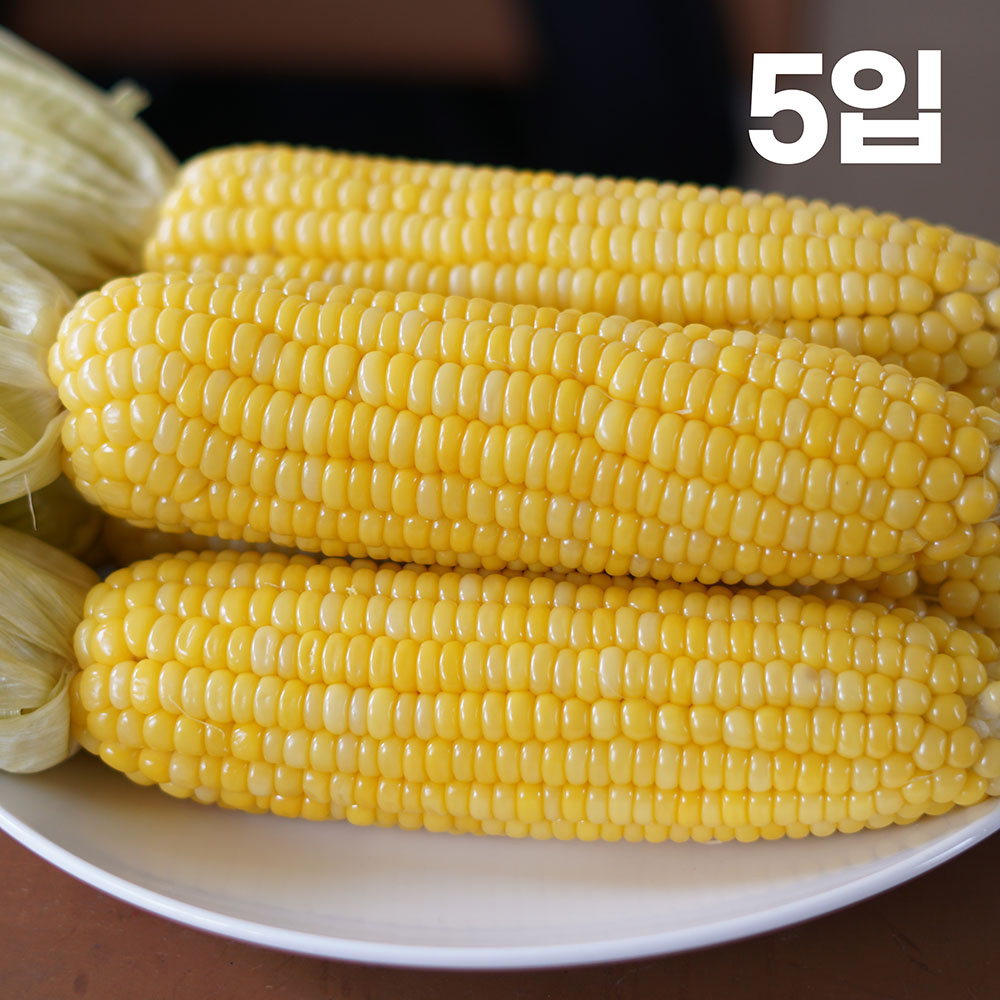 제주 초당옥수수(16cm)최상품 5입 나제주