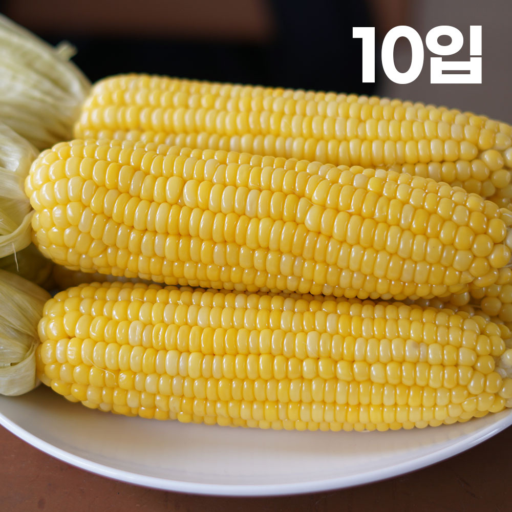 제주 초당옥수수(16cm)최상품 10입 나제주