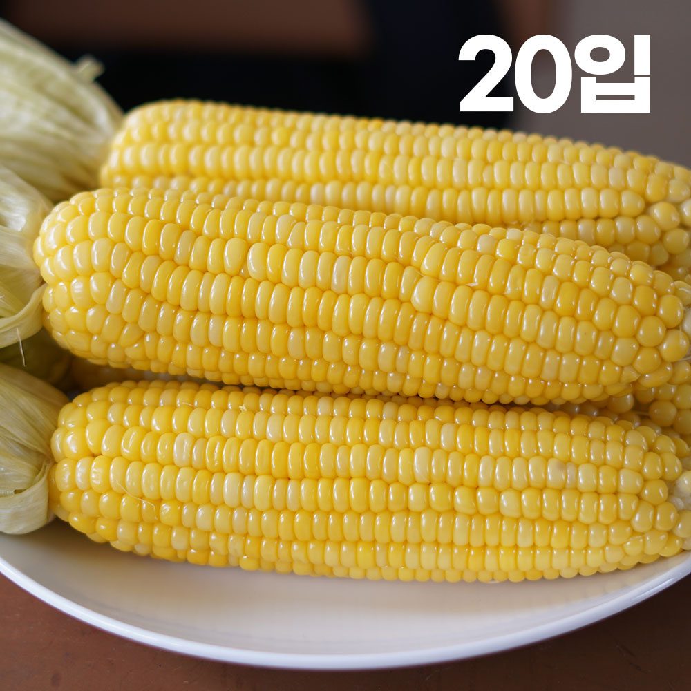 제주 초당옥수수(16cm)최상품 20입 나제주