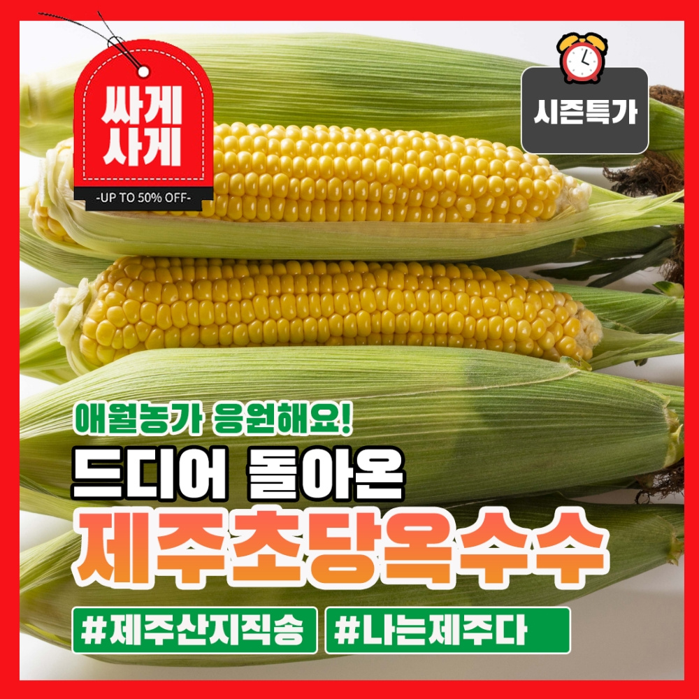 애월농가 초당옥수수 10개입 20개 사탕수수 옥수수 초당