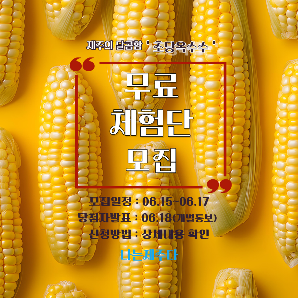 [무료체험] 제주 산지직송 초당옥수수