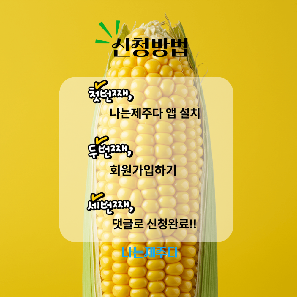 [무료체험] 제주 산지직송 초당옥수수
