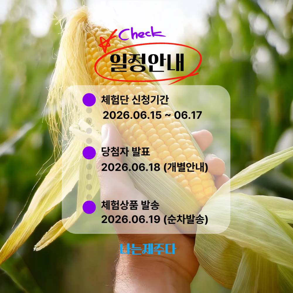 [무료체험] 제주 산지직송 초당옥수수
