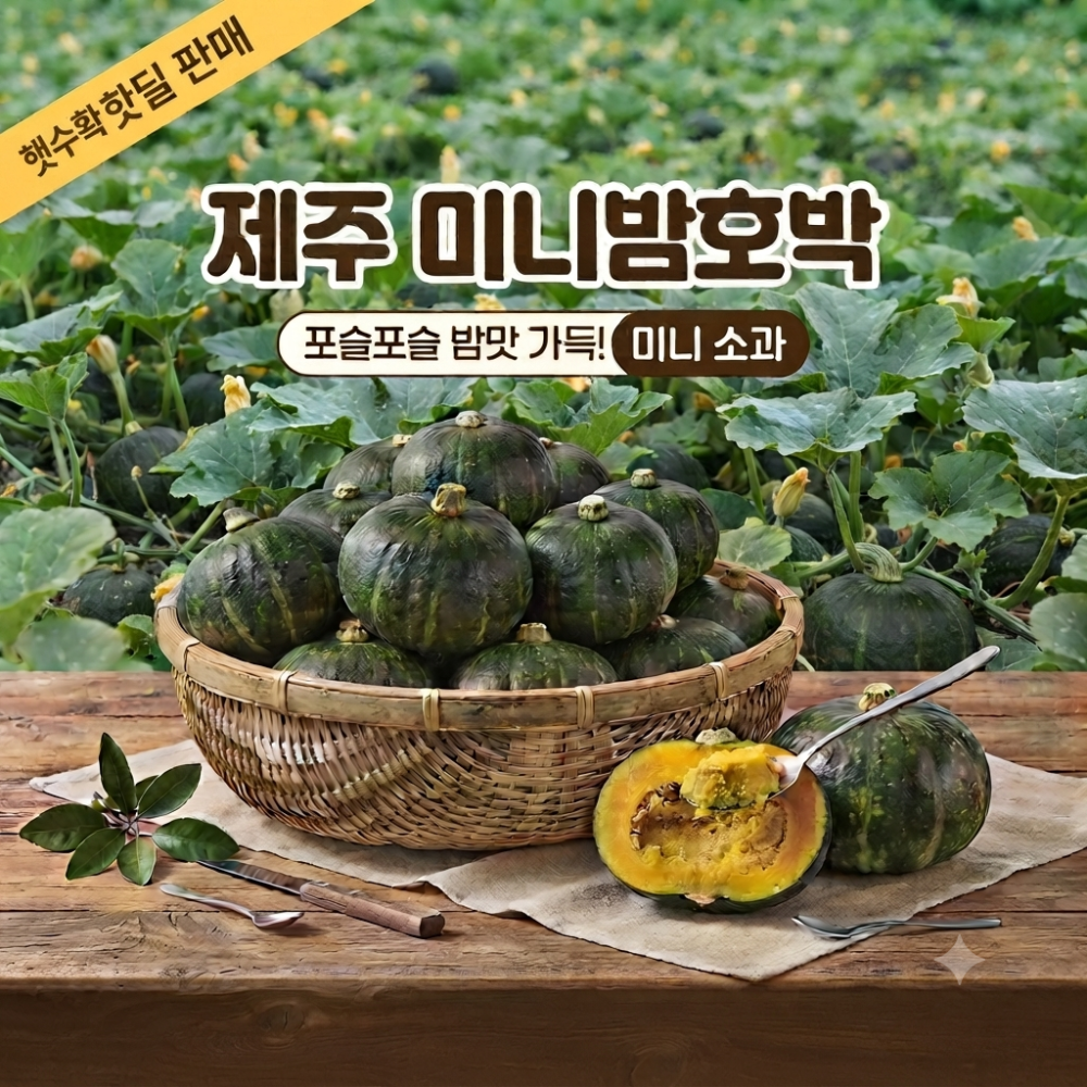 제주미니밤호박(보우짱) 소과 2kg 핫딜!! 특가!!