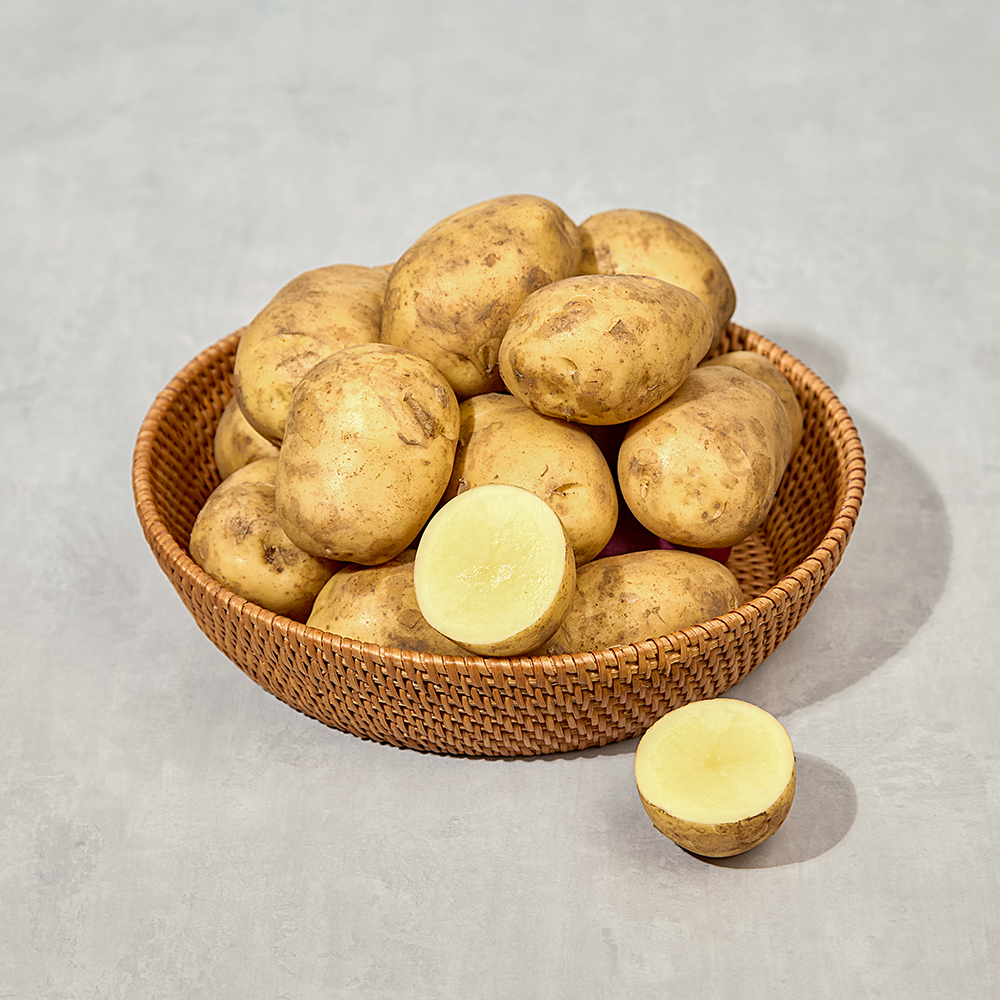 [제주 제철 농산물 소량주문]   요리용 제주 햇감자 1kg 포슬 식감 제철