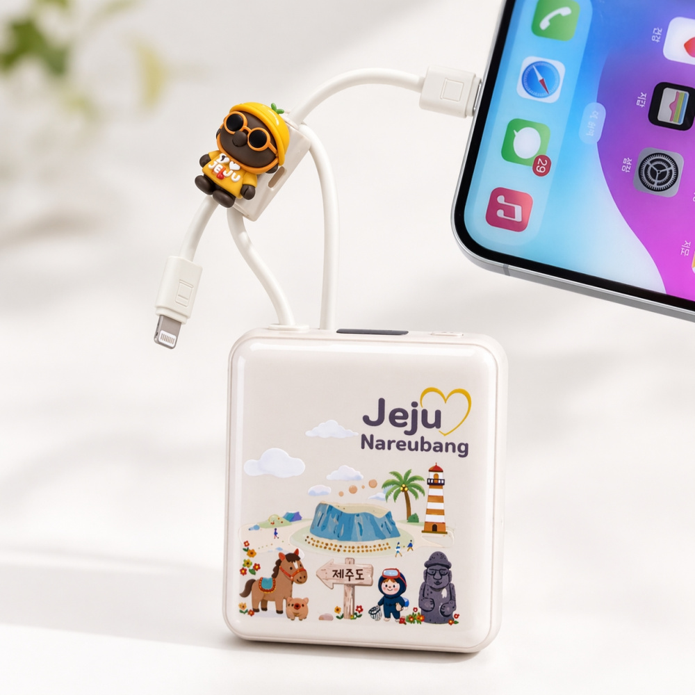 제주하우스 나르방 PD포트 초경량 고속충전 10000mAh 패턴 보조배터리 na22