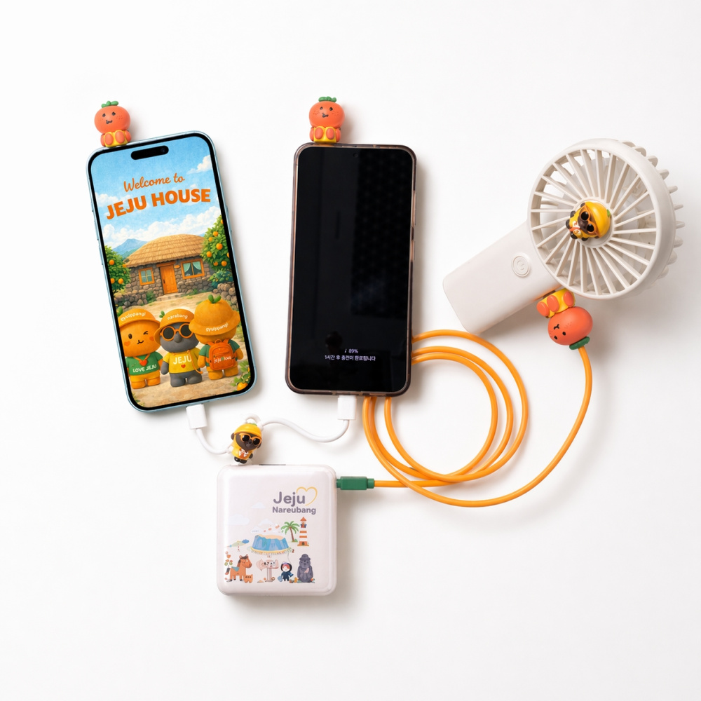 제주하우스 나르방 PD포트 초경량 고속충전 10000mAh 패턴 보조배터리 na22