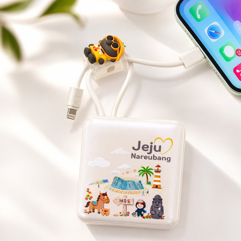 제주하우스 나르방 PD포트 초경량 고속충전 10000mAh 패턴 보조배터리 na22