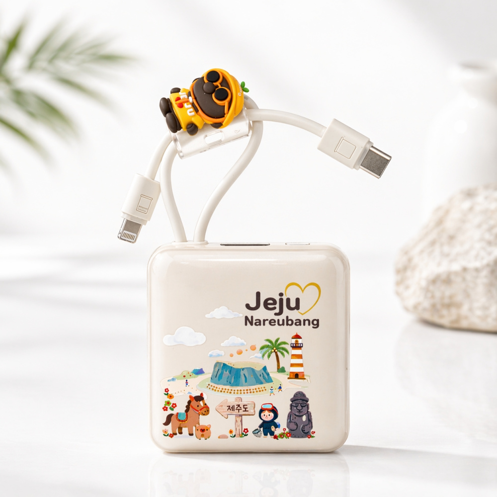 제주하우스 나르방 PD포트 초경량 고속충전 10000mAh 패턴 보조배터리 na22