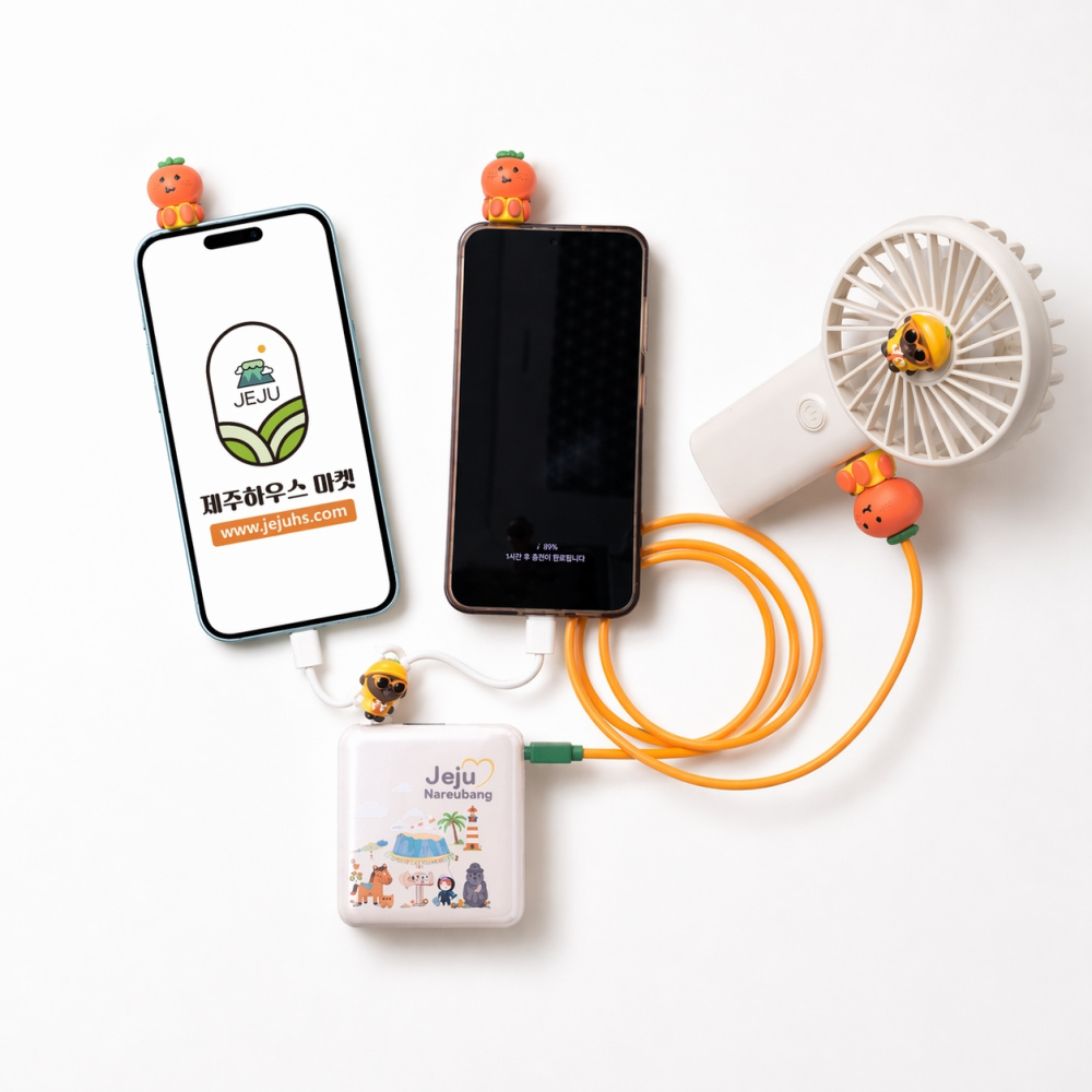 제주하우스 나르방 PD포트 초경량 고속충전 10000mAh 패턴 보조배터리 na22