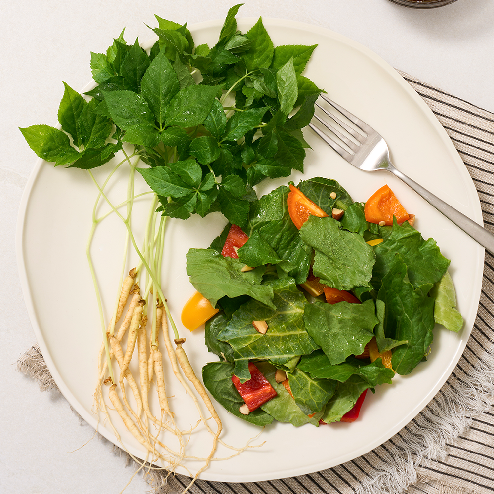 제주 새싹인삼 용천삼 (50뿌리)