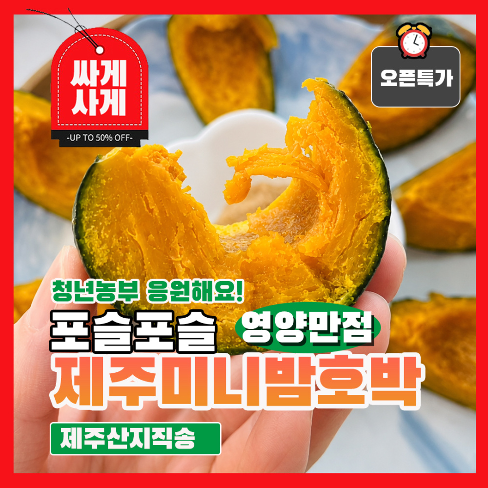 제주 포슬포슬 알찬 미니밤호박 단호박 보우짱 영양만점