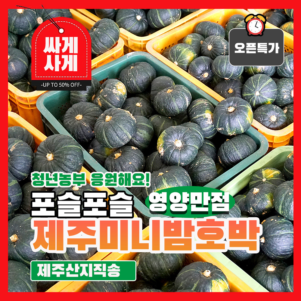 제주 포슬포슬 알찬 미니밤호박 단호박 보우짱 영양만점
